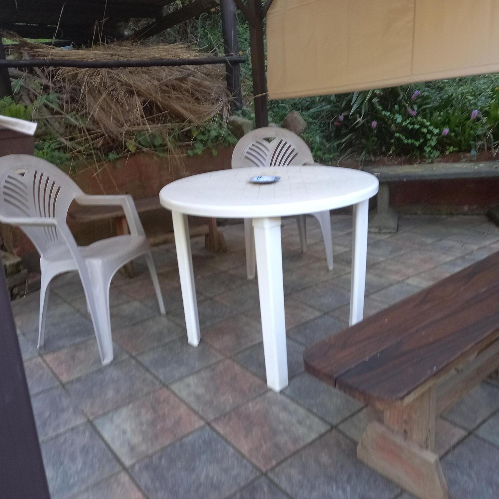 לינה וארוחת בוקר פיינטאון Thrush Nest Durban מראה חיצוני תמונה